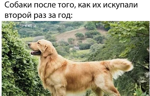 35 картинок разных 26.08.2021