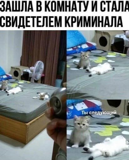 Так себе картинки 10.10.21