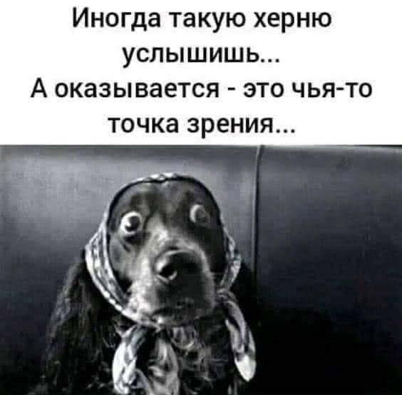 Всяческие картинки 02.11.2021