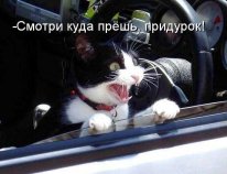 ТП и Майбах