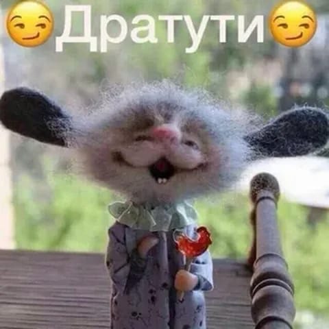Бывший муж выгнал и забрал авто. Кредит на мне