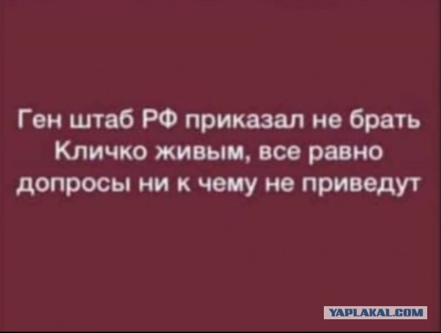 Кличко - самый умный?