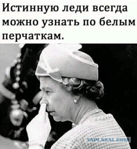 Весёлый полтишок 20.04.22