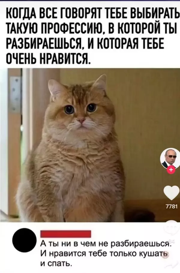 Картинки и мемы для настроения - 19