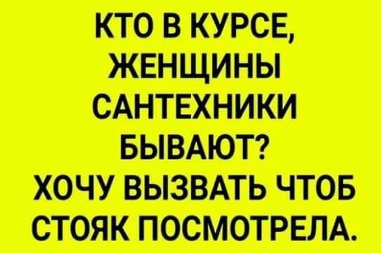Весёлый полтишок 20.06.22