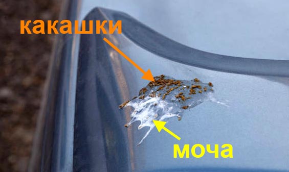 Необъяснимо но факт!
