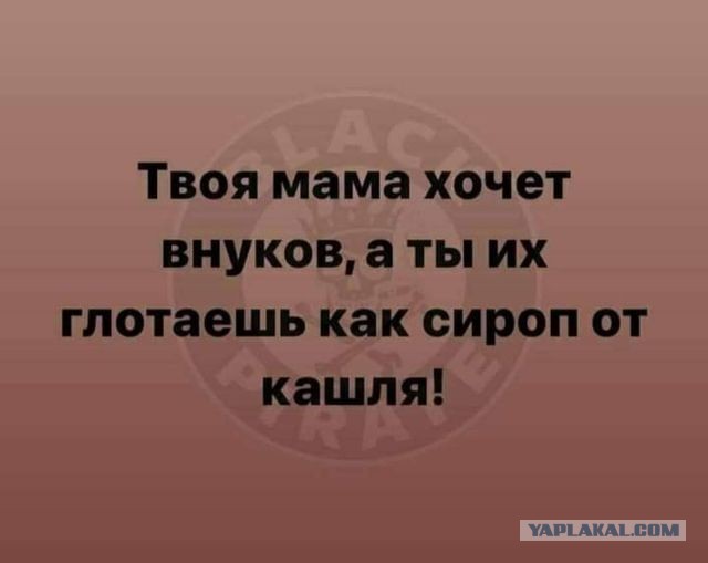 Чуток картинок 04.08.22