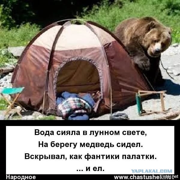 Палатки