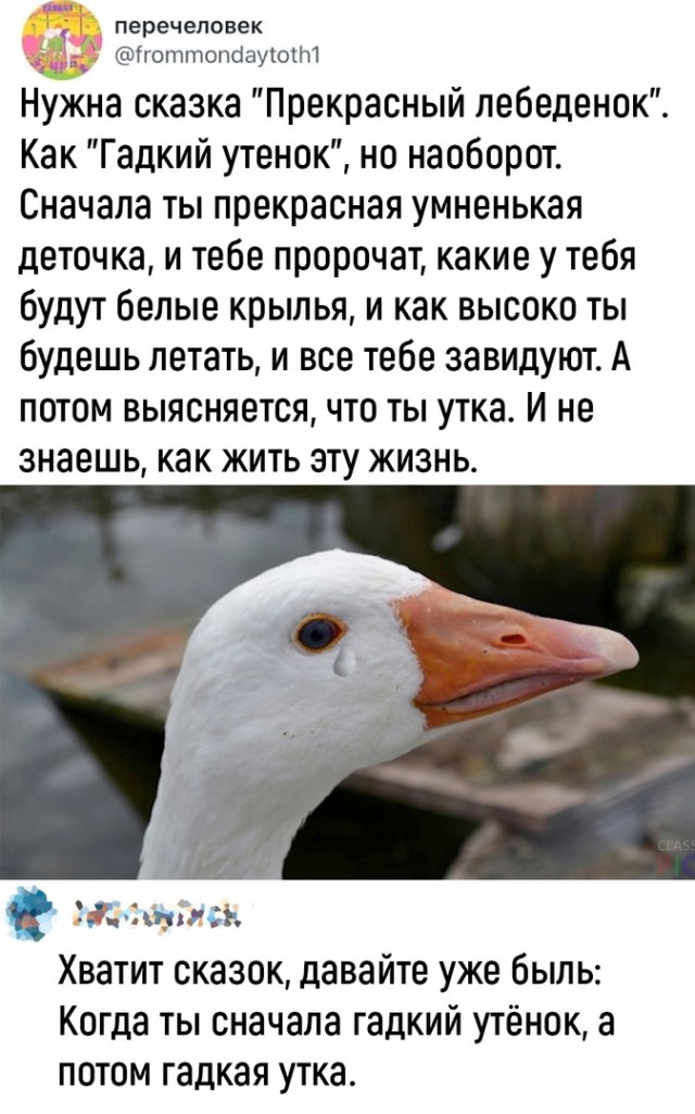 50 оттенков серого если самосвал баянов.  Vol.19. 50 штук.