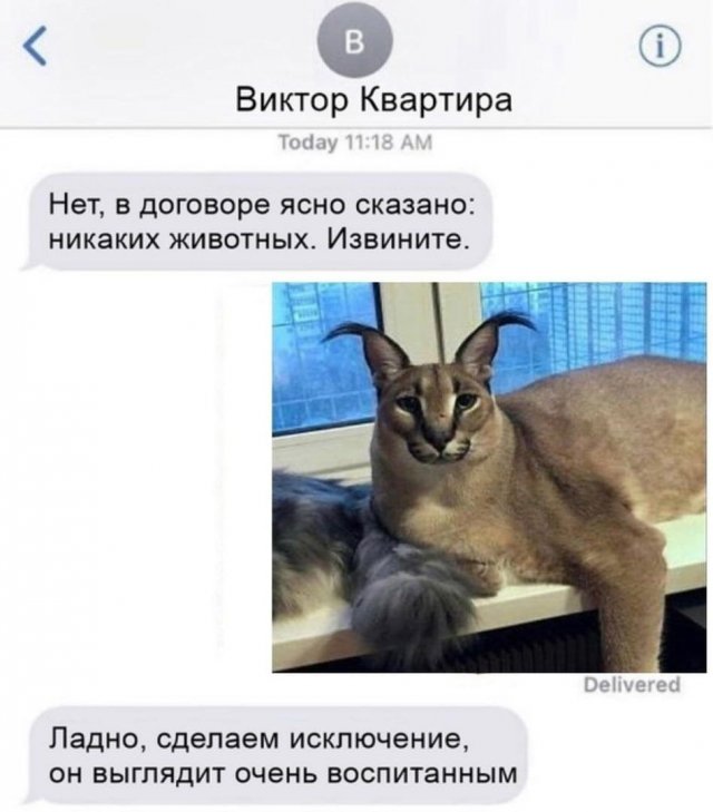 Картинки и мемы. Выходные близко...