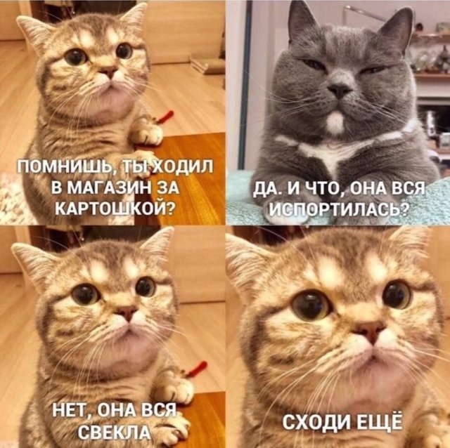Картинки и мемы. Выходные близко...