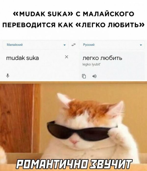 Не бейте баяниста - играет, как может