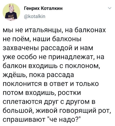 Весёлый полтишок 11.01.23