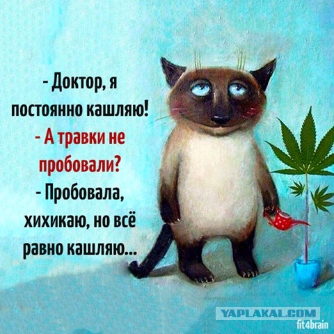 Короче, поступила как мужик