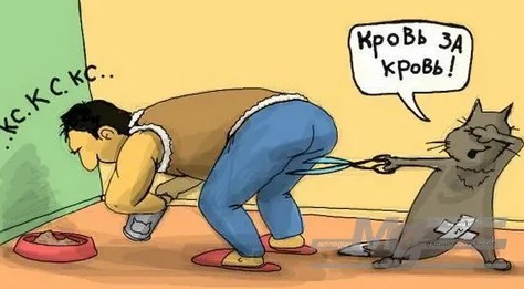 Кажется, чего-то не хватает...