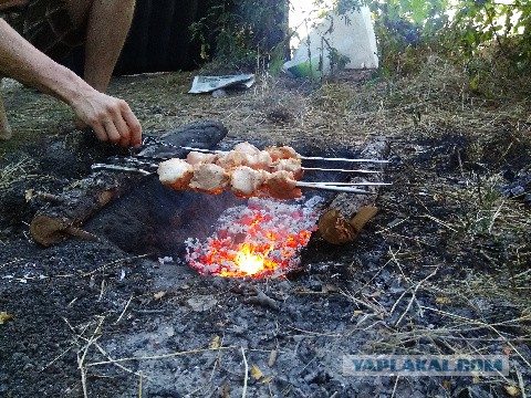 Привет, ЯП, го шашлычный челендж!