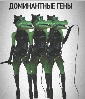 ДНК-центр не остался безнаказанным