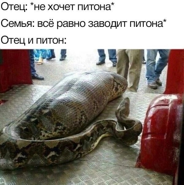 Весёлый полтишок 20.09.23