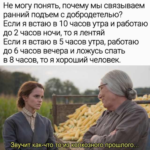 Весёлый полтишок 01.11.23
