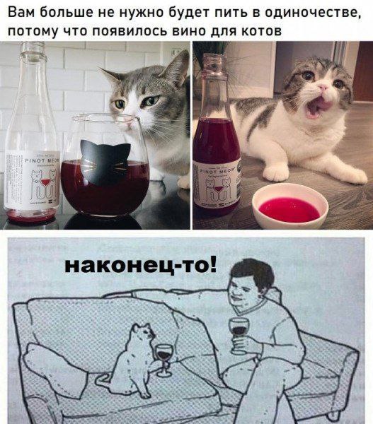 Отряд быстрого деградирования