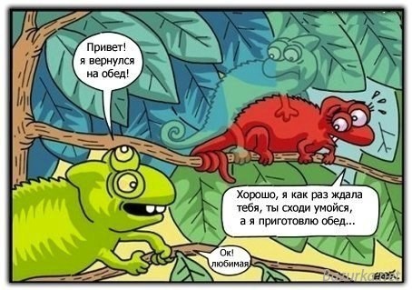 Маскировка осьминога 80-го уровня