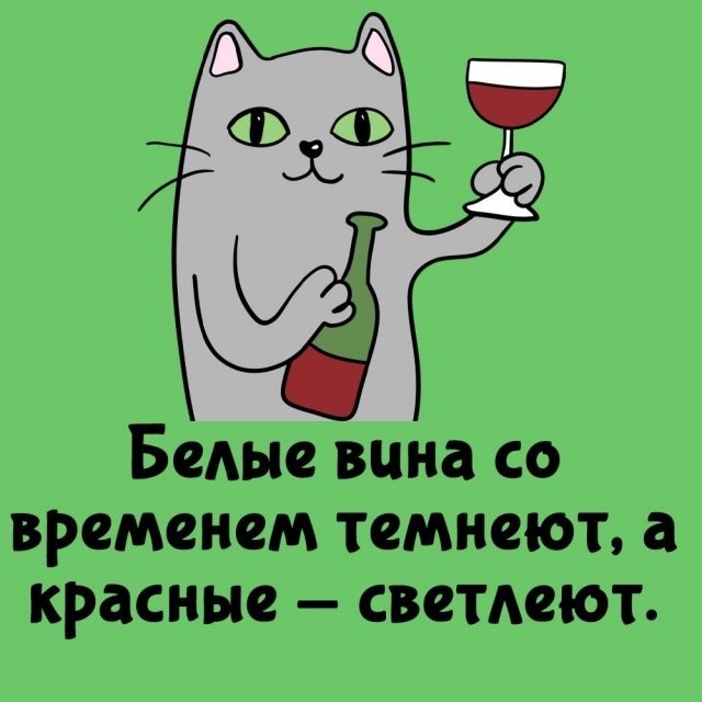 Подборка интересных фактов на все случаи жизни  07.10.24