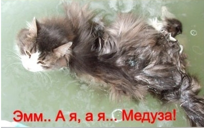 Хвастунишки