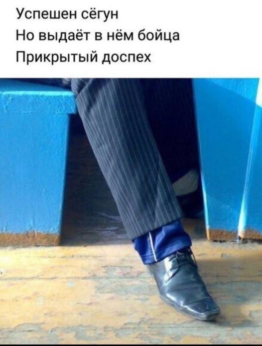Баяны: август 2023 г - декабрь 2023 г