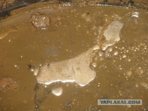 Второй "Чернобыль" в Киеве