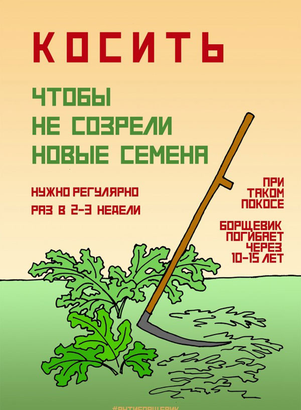 Пятниццо-баяниццо