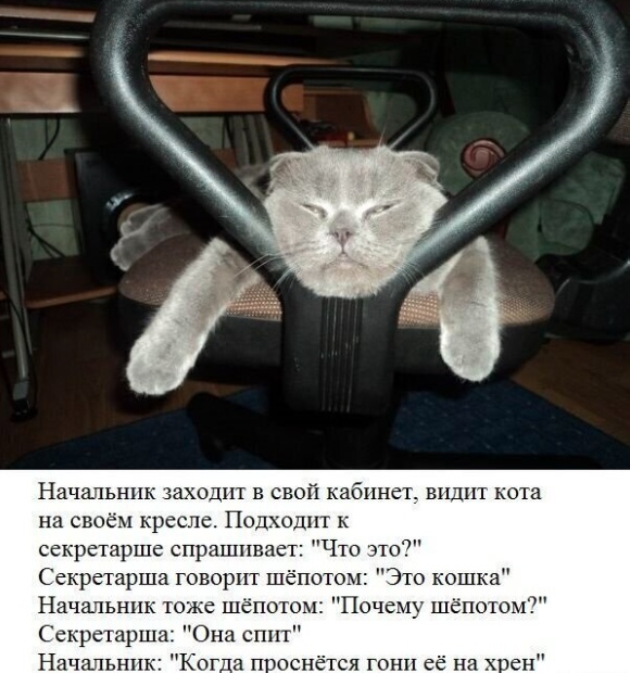 Так себе картинки 01.03.25