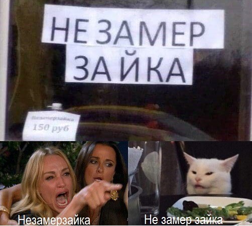 Знаменитый кот