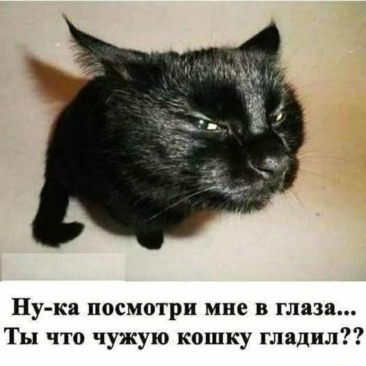 Картинки для деградации -2 (разной степени свежести)