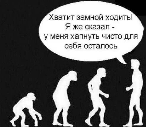 Деградация