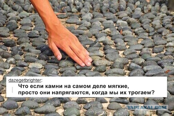 Всяческой ереси пост