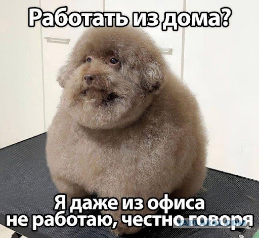 Картинки и мемки