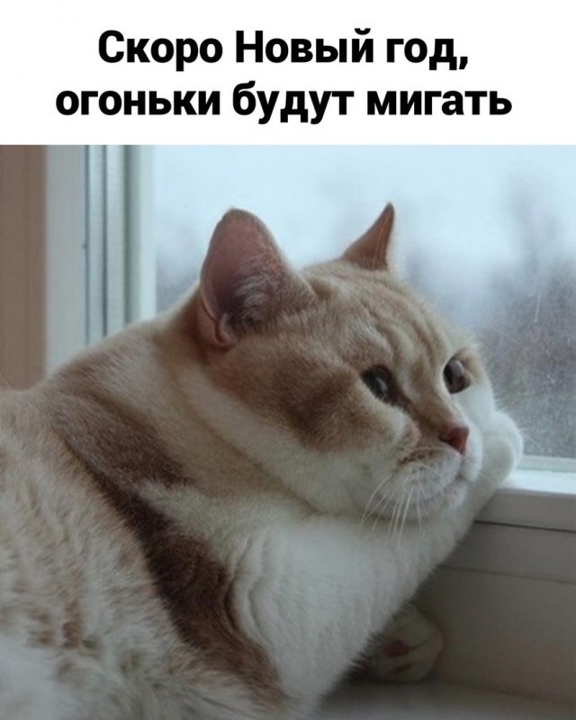 Так себе картинки 14.10.25