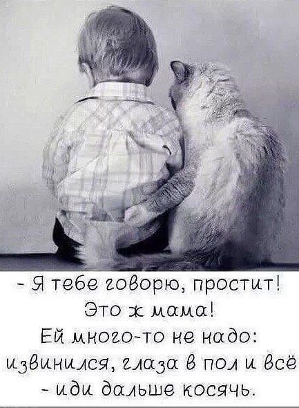 Прикольные и просто красивые картинки 25.11.2025