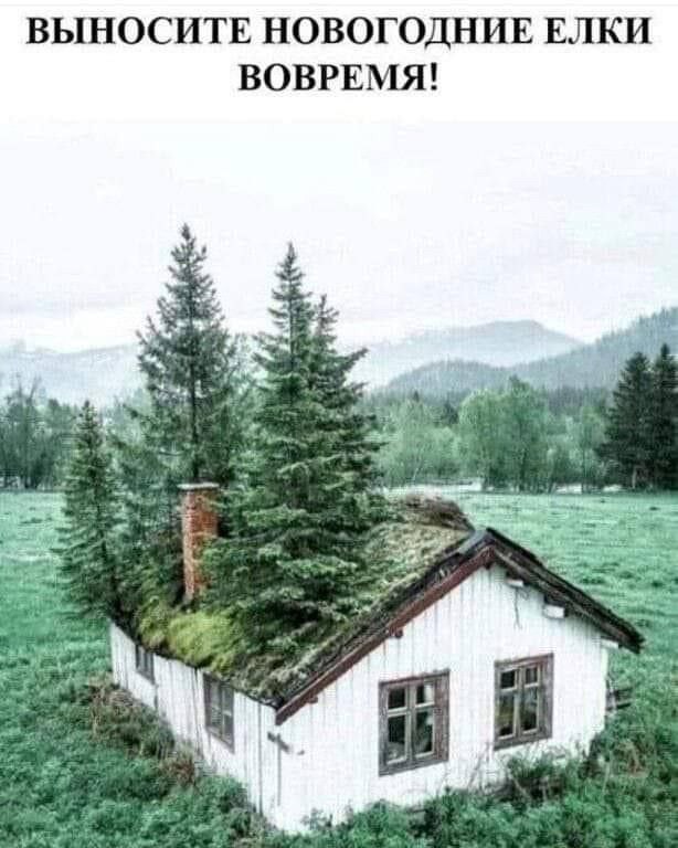 Картиночки на 15.01.2026