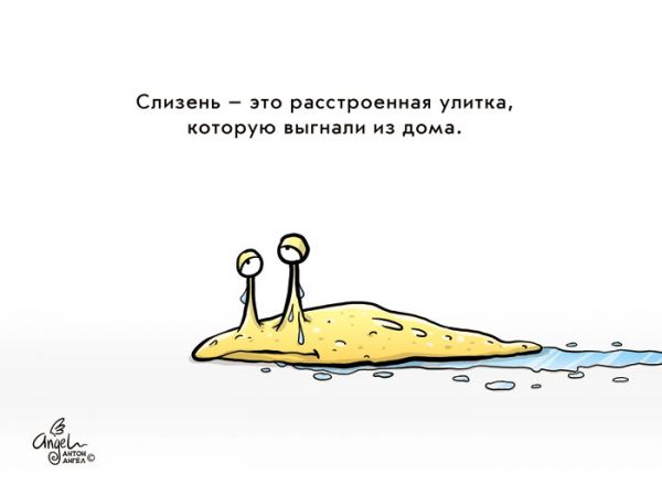Улитка