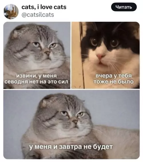 Картиночки, баянчики 10 марта