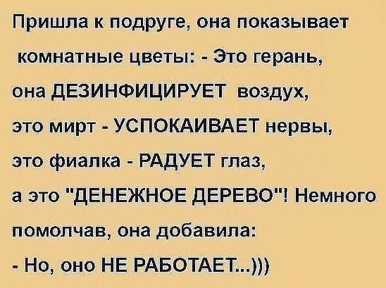 Аспарагусы
