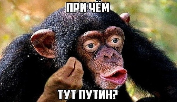 Только не надо паники, всем хватит...