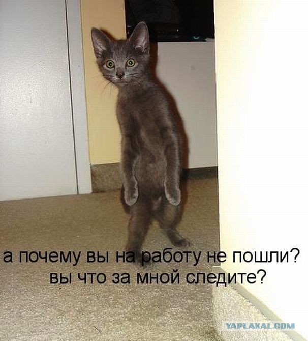 Буся.