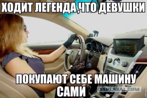 Картинки
