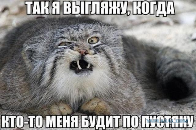 Немного позитива на пятницу.