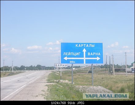 синька-зло