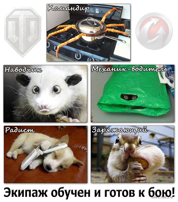 Wargaming 15