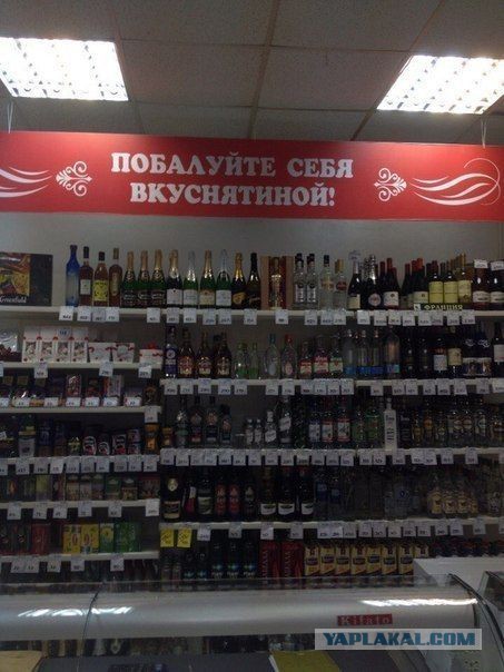 Весёлые картинки