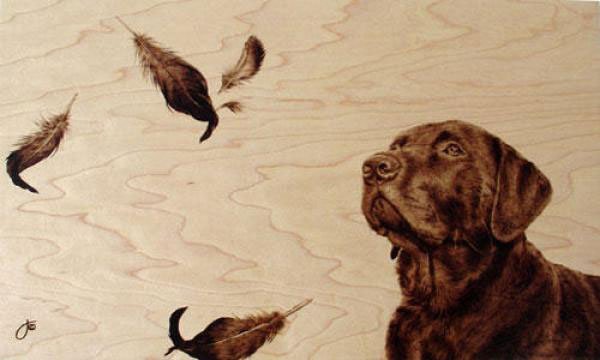 Фотография?